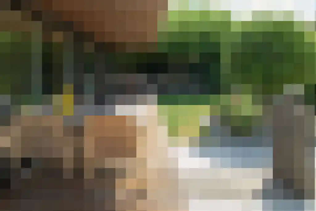 Carolinalaan 4 Oranjewoud thumbnail 6