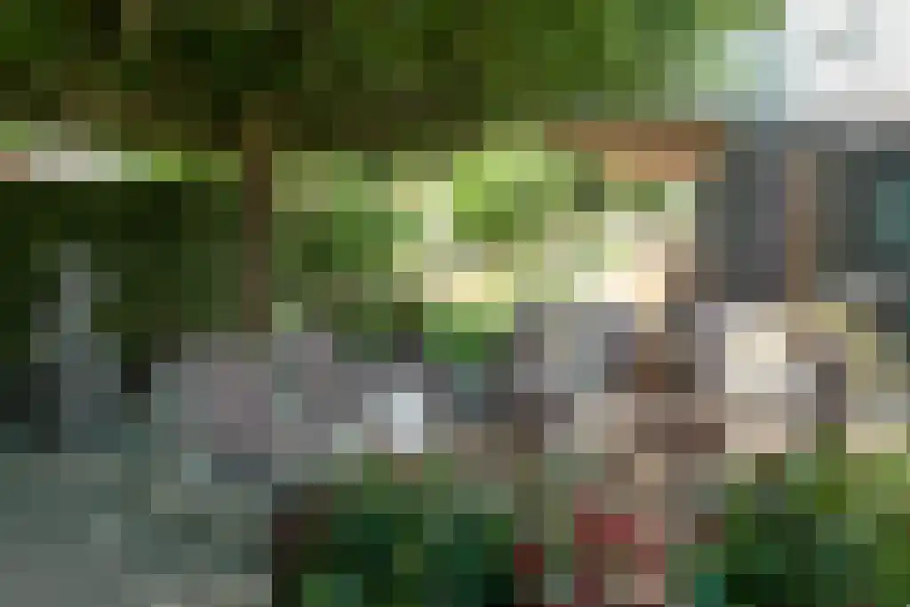 Carolinalaan 4 Oranjewoud thumbnail 9