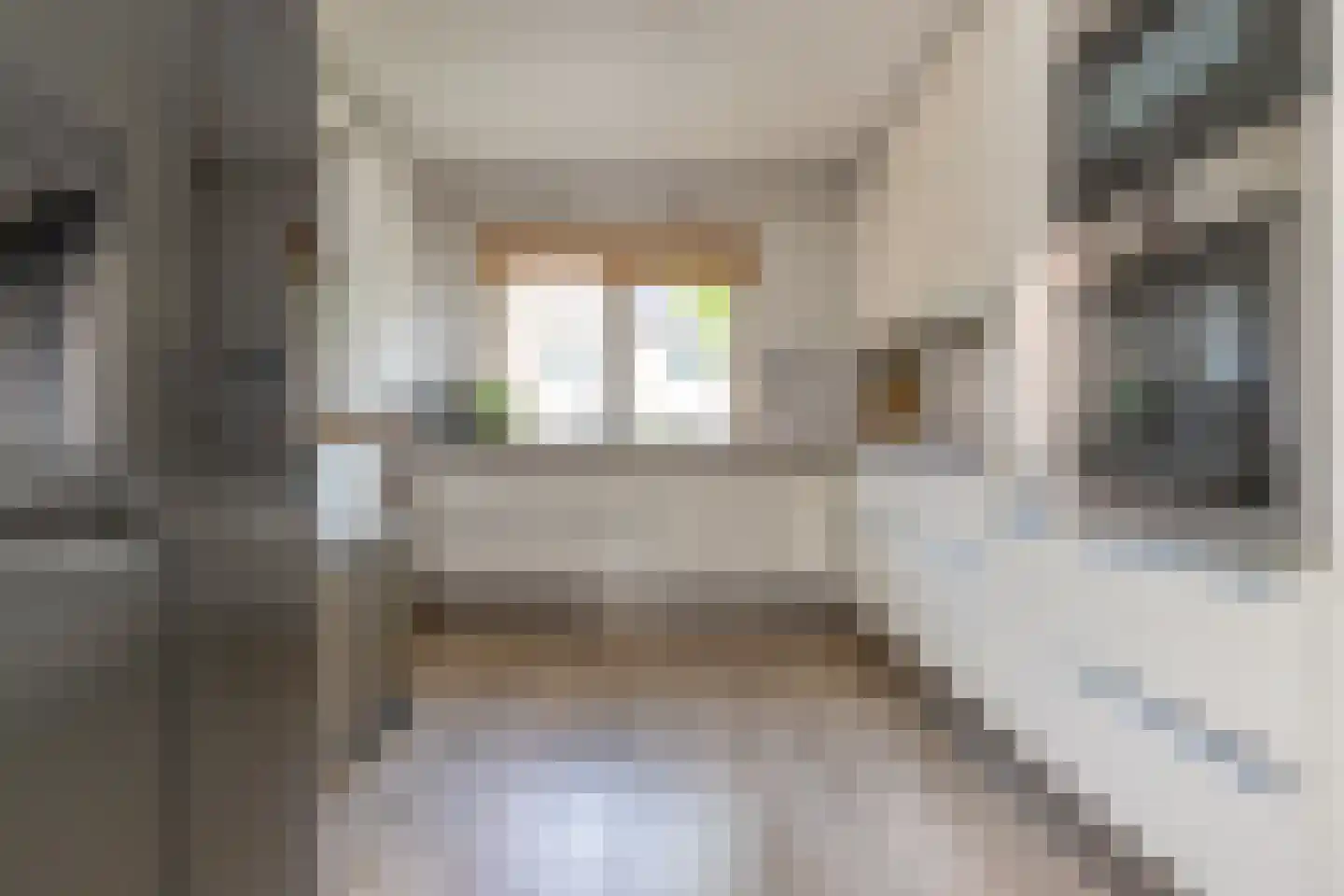 Carolineburg 19 Hoofddorp thumbnail 18