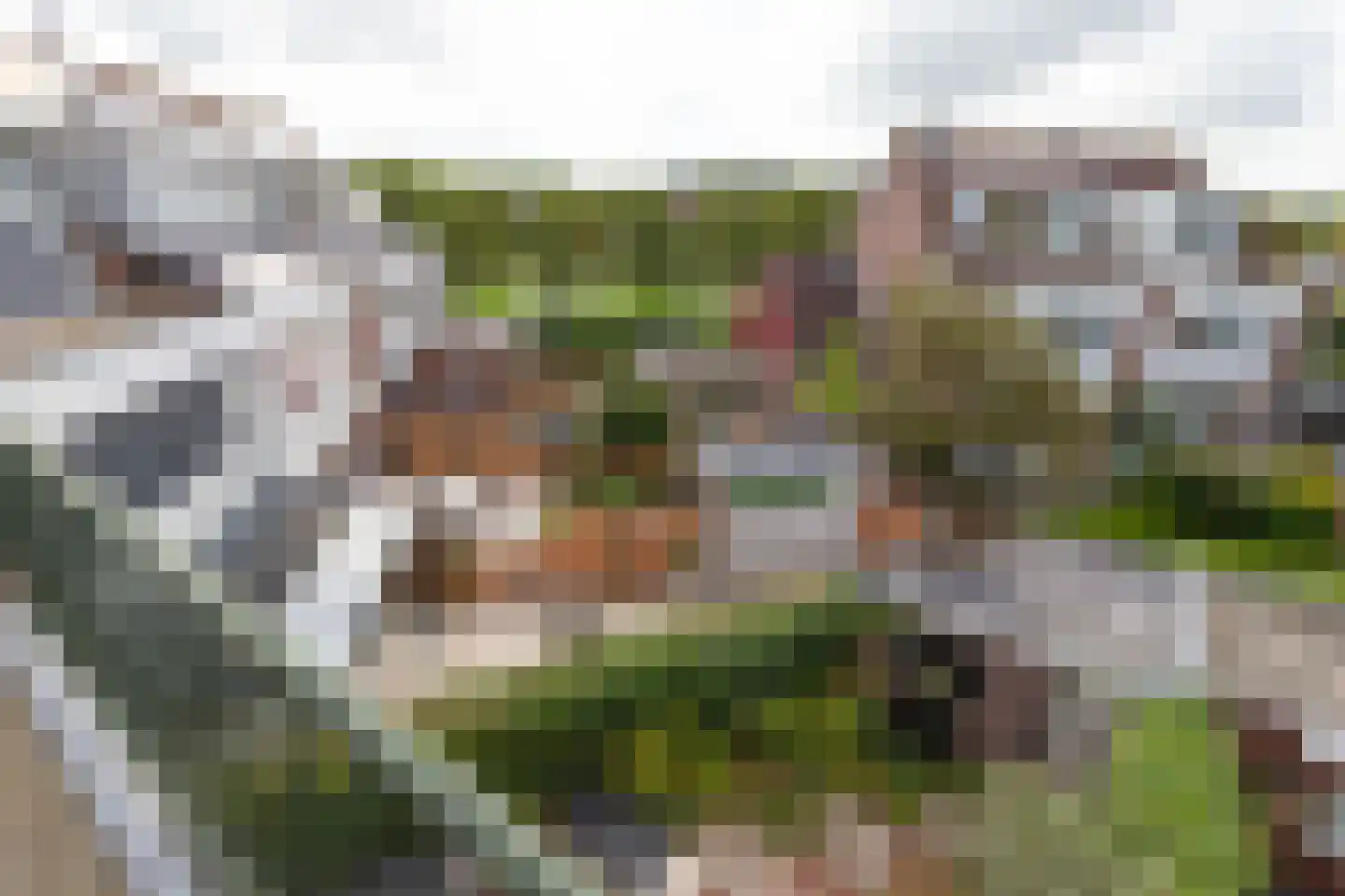 Carolineburg 19 Hoofddorp thumbnail 46