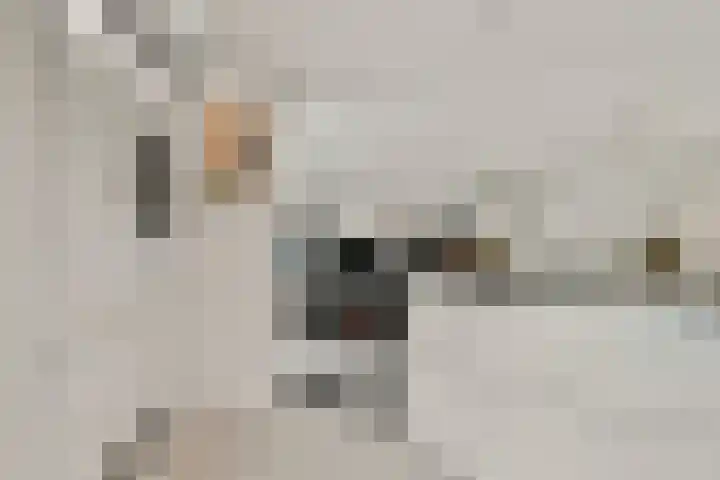 Carolineburg 35 Hoofddorp thumbnail 18