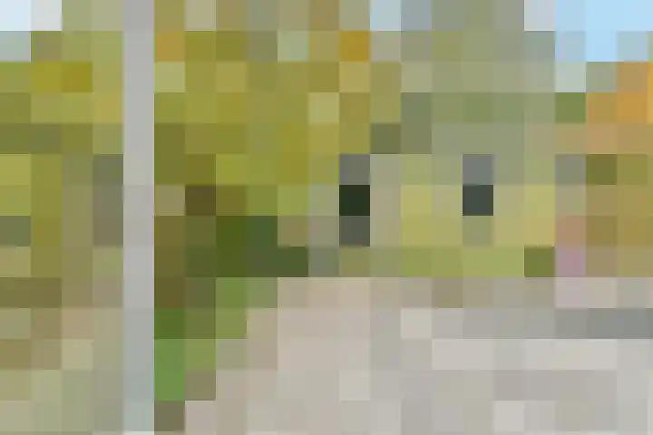 Carolineburg 35 Hoofddorp thumbnail 19