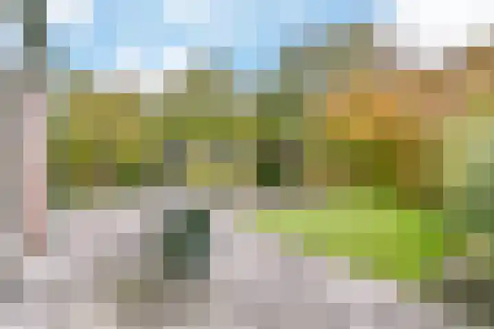 Carolineburg 35 Hoofddorp thumbnail 21