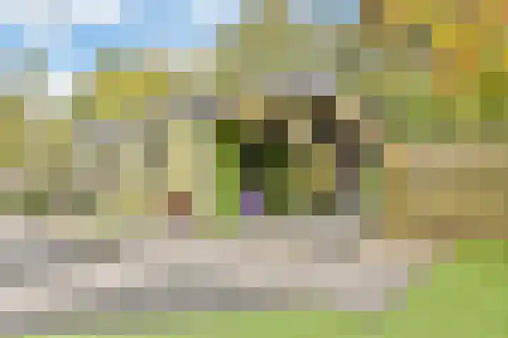 Carolineburg 35 Hoofddorp thumbnail 22