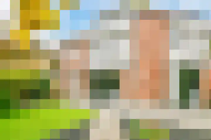 Carolineburg 35 Hoofddorp thumbnail 23