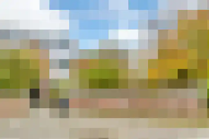 Carolineburg 35 Hoofddorp thumbnail 25