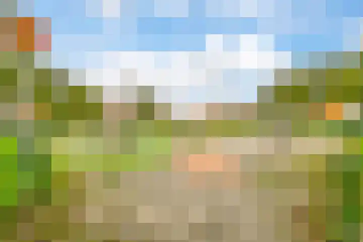Carolineburg 35 Hoofddorp thumbnail 39