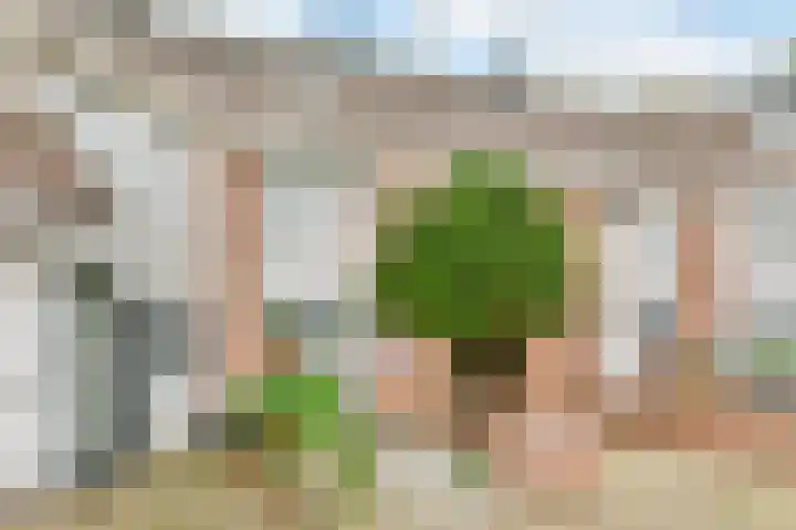 Carolineburg 35 Hoofddorp thumbnail 4