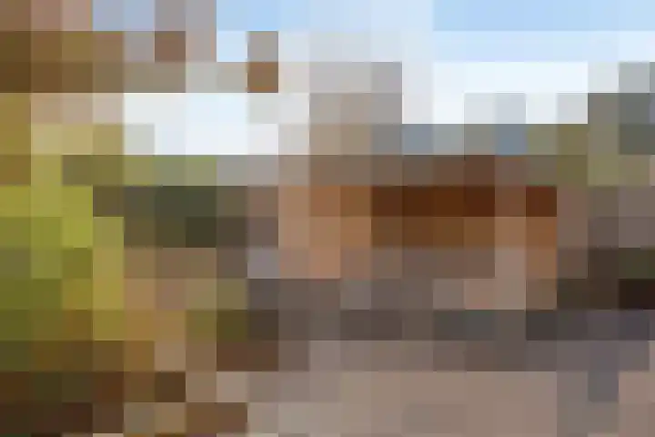 Carolinen 8 Capelle aan den IJssel thumbnail 10