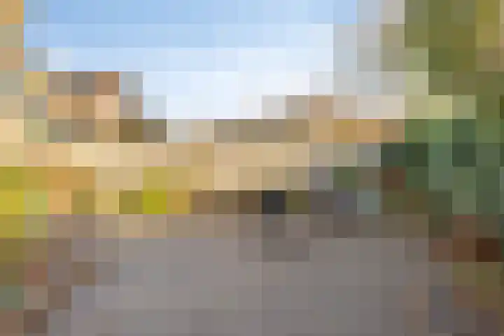 Carolinen 8 Capelle aan den IJssel thumbnail 11
