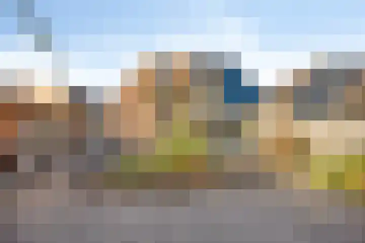 Carolinen 8 Capelle aan den IJssel thumbnail 12