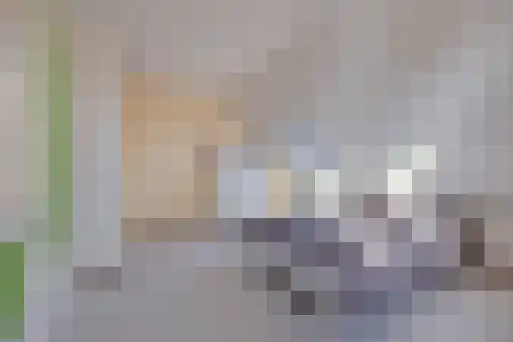 Carolinen 8 Capelle aan den IJssel thumbnail 32