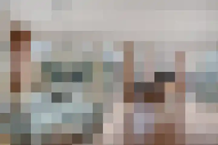 Carolinen 8 Capelle aan den IJssel thumbnail 6