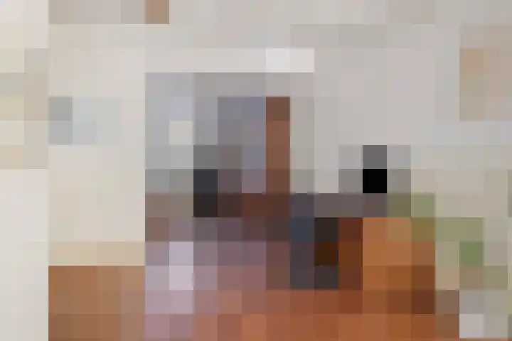 Carolinen 8 Capelle aan den IJssel thumbnail 8