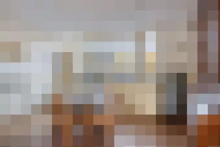 Carolinen 8 Capelle aan den IJssel thumbnail 9
