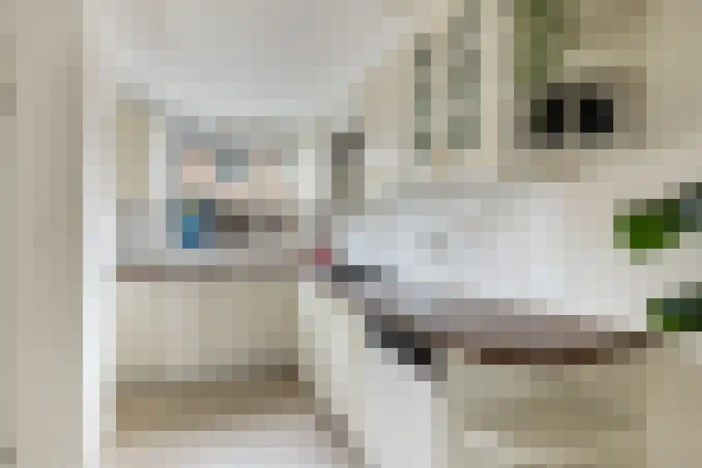 Carolinen 9 Utrecht thumbnail 12