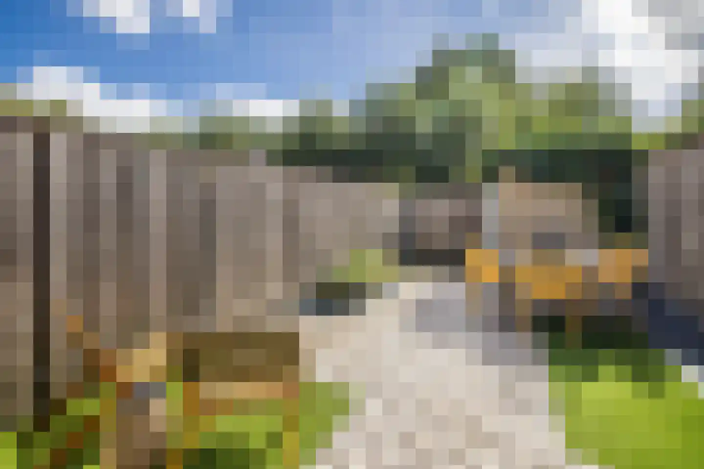 Carolinen 9 Utrecht thumbnail 13