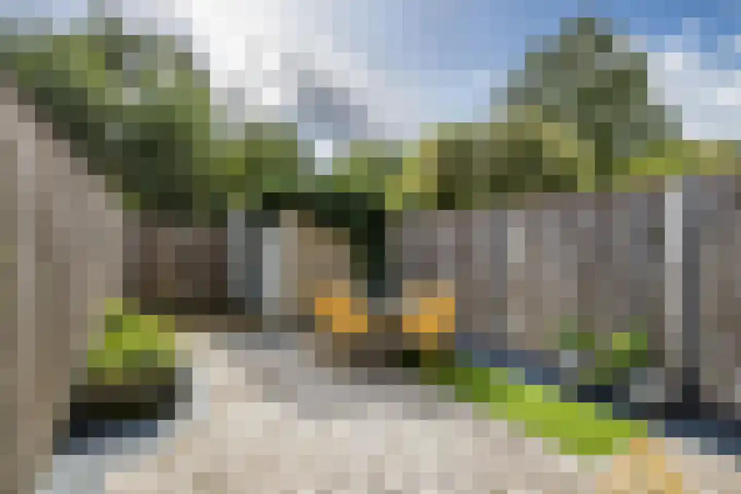 Carolinen 9 Utrecht thumbnail 14