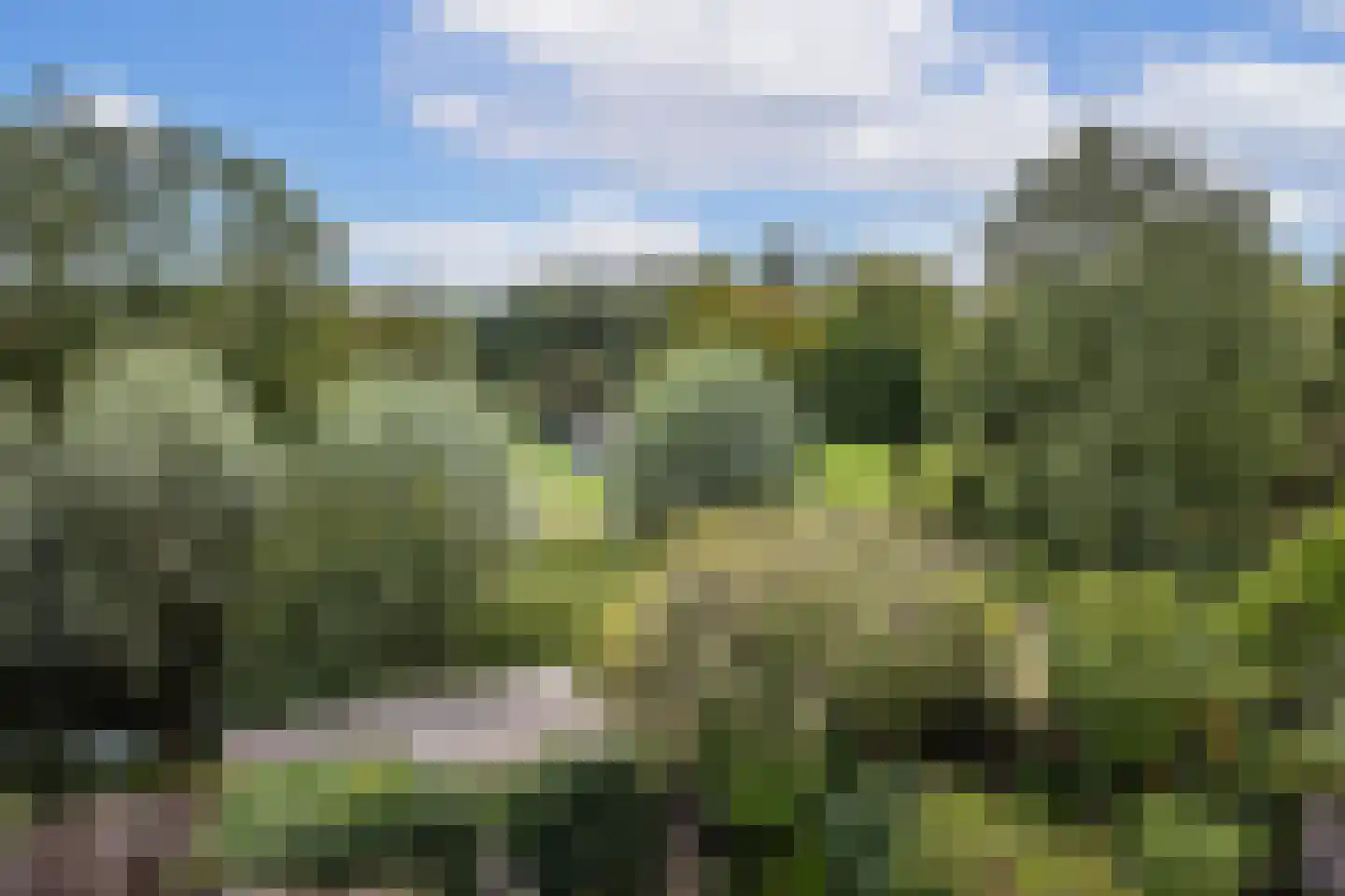 Carolinen 9 Utrecht thumbnail 18