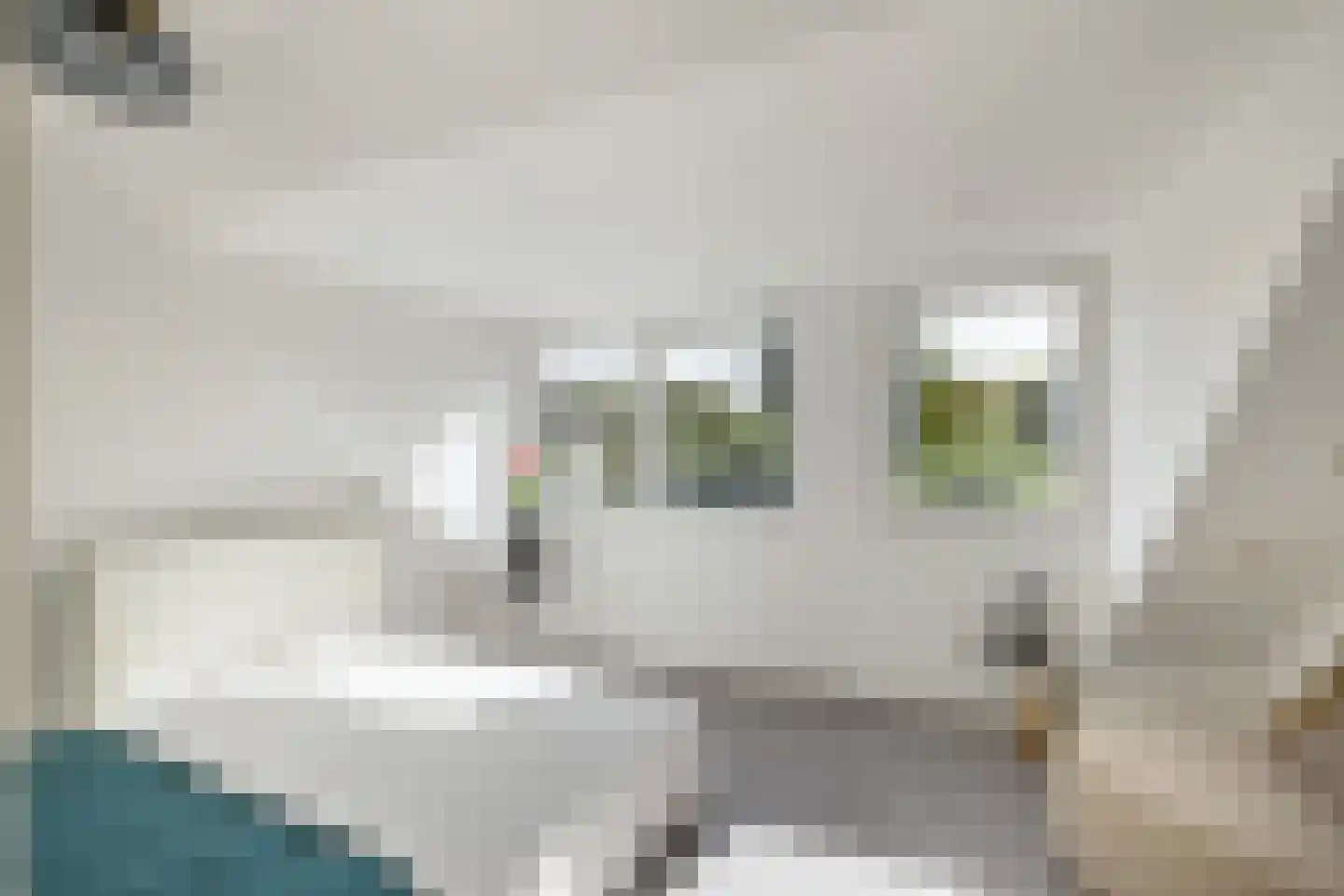 Carolinen 9 Utrecht thumbnail 25