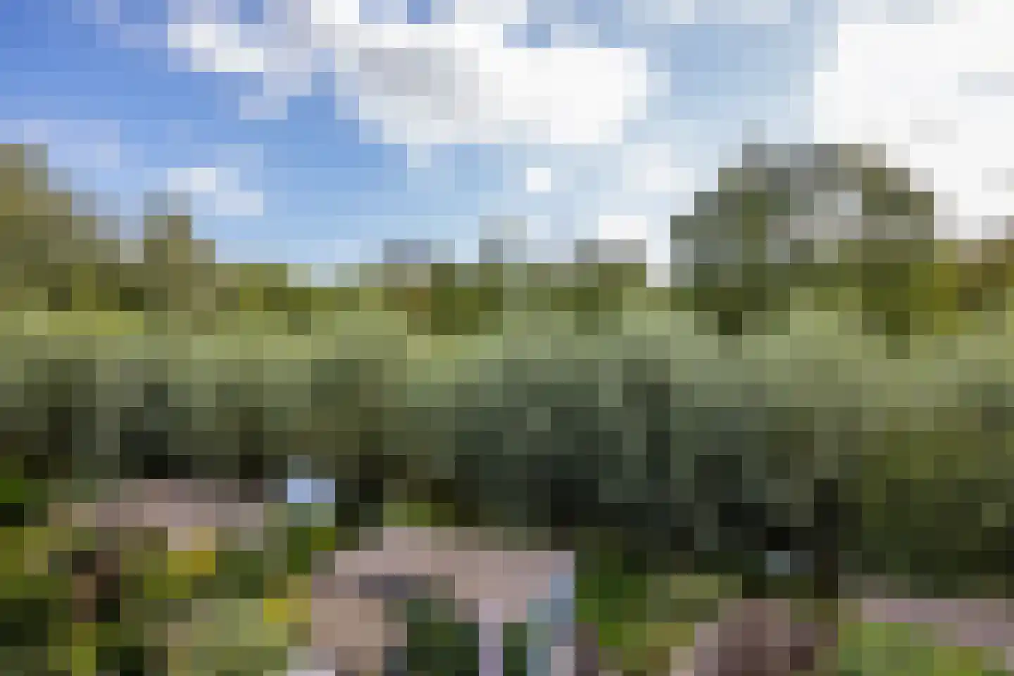 Carolinen 9 Utrecht thumbnail 26