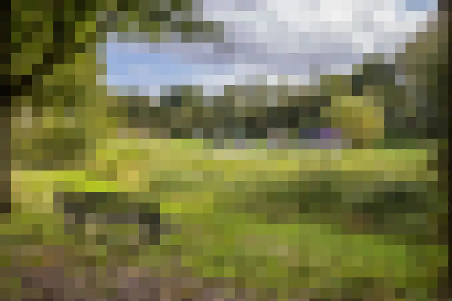 Carolinen 9 Utrecht thumbnail 30