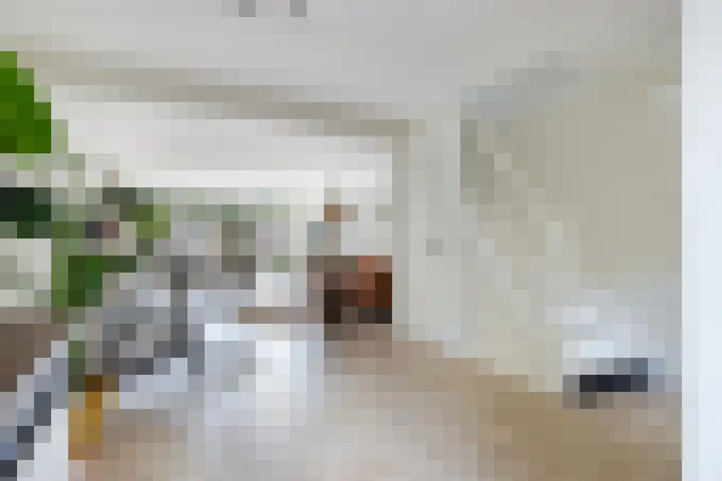 Carolinen 9 Utrecht thumbnail 5