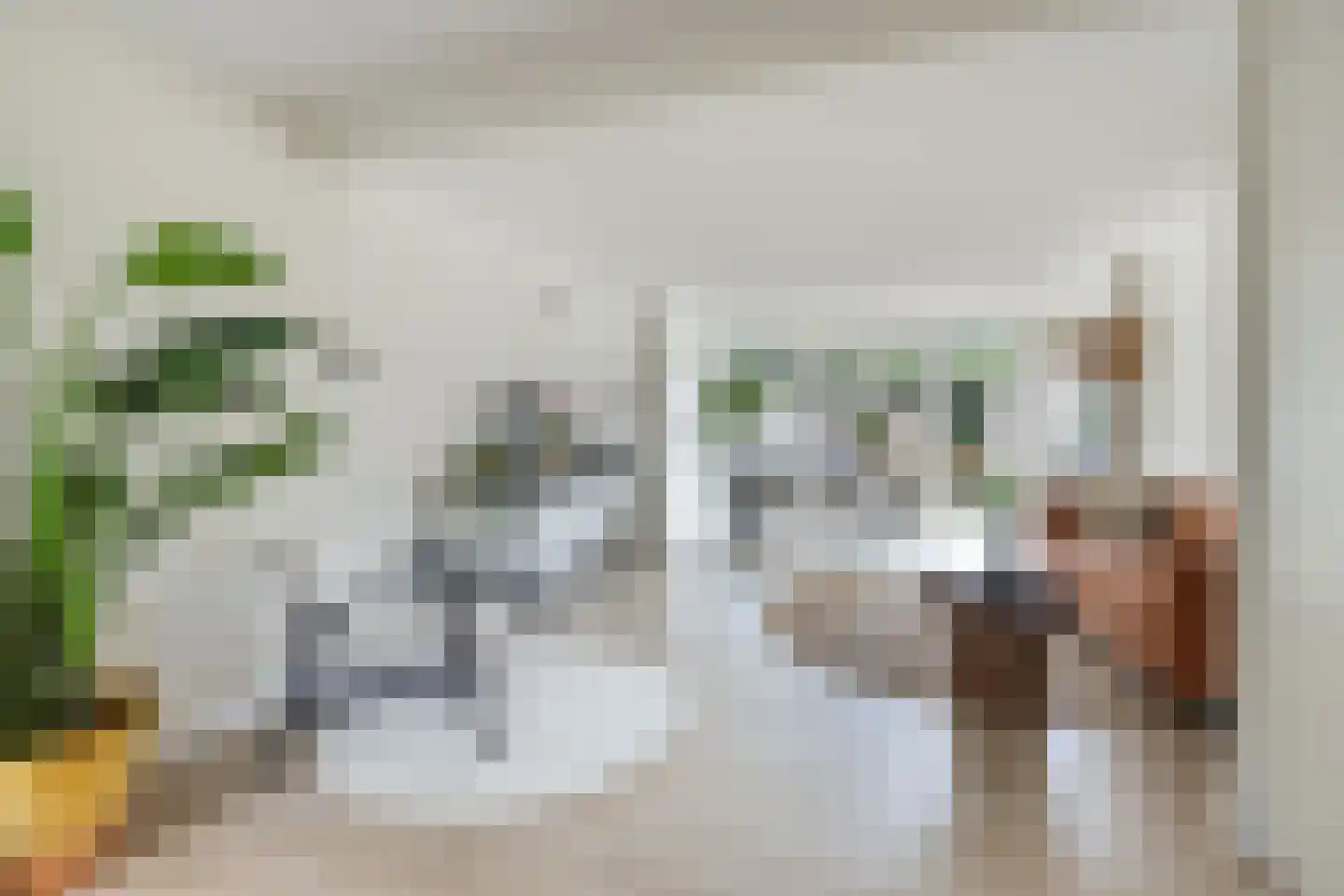 Carolinen 9 Utrecht thumbnail 6