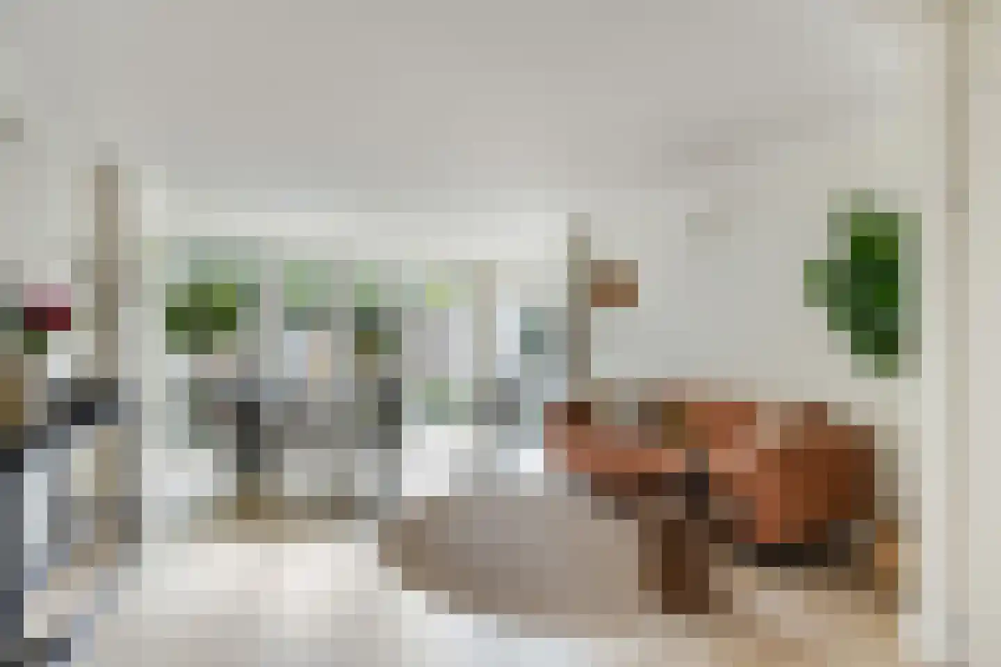 Carolinen 9 Utrecht thumbnail 7