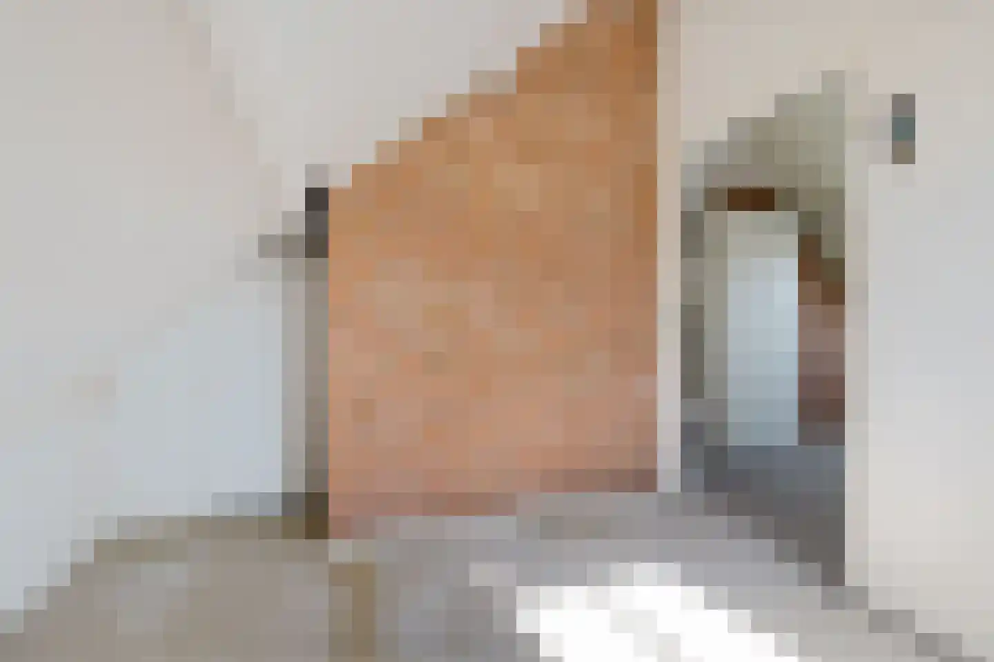 Carolinenburg 10 Leeuwarden thumbnail 38