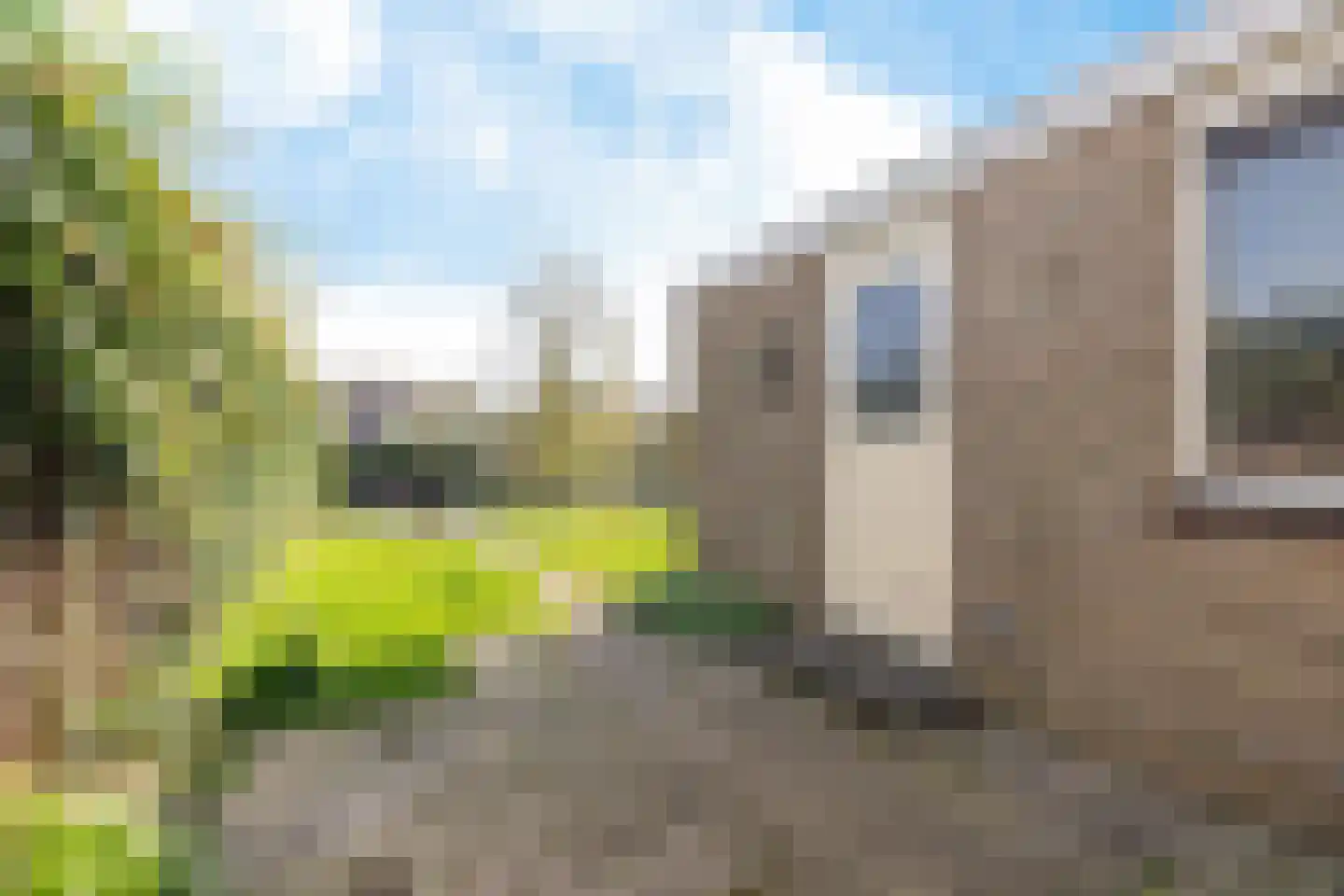 Carolinenburg 10 Leeuwarden thumbnail 40