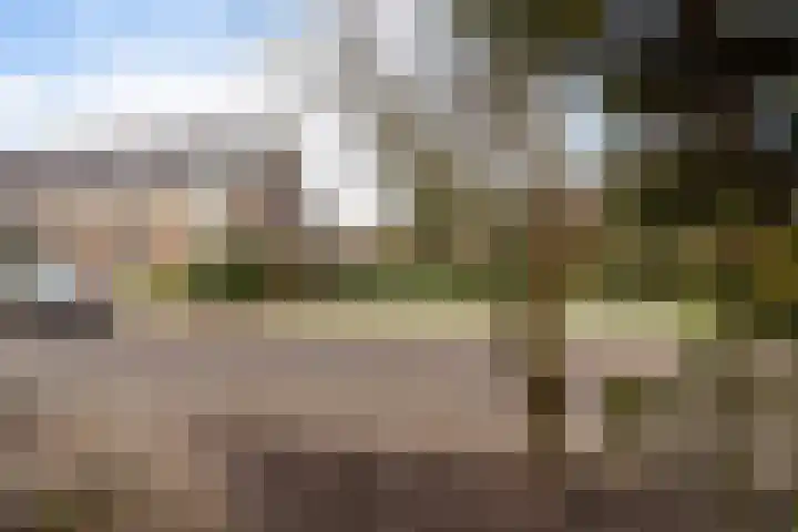 Carolinenburg 20 Leeuwarden thumbnail 31