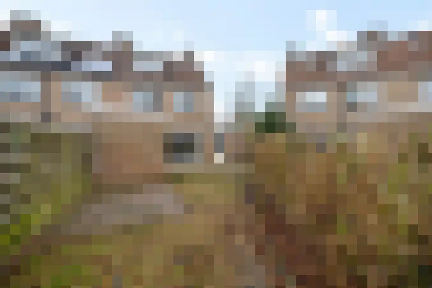 Carolinenburg 45 Leeuwarden thumbnail 13