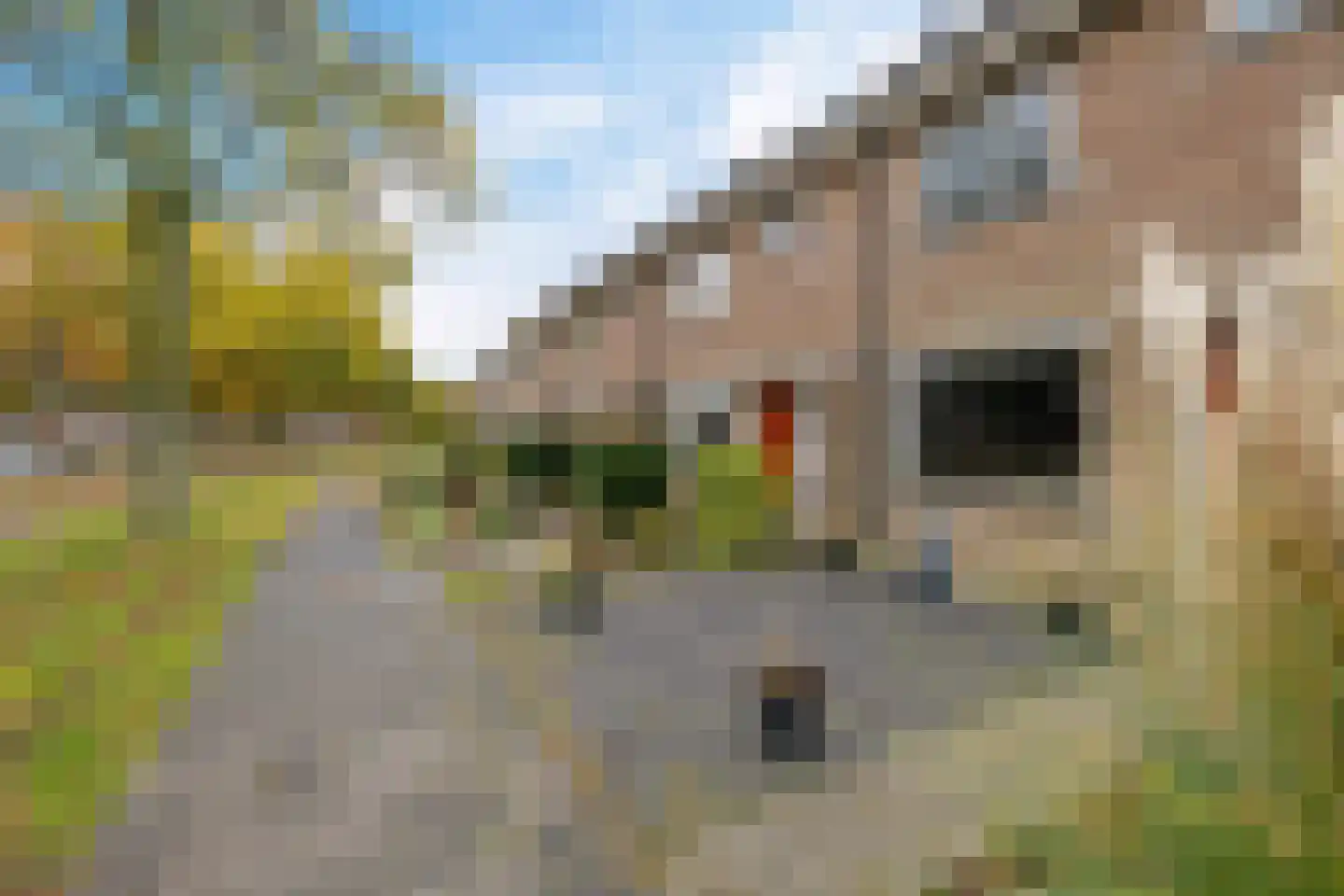 Carolinenburg 50 Leeuwarden thumbnail 8