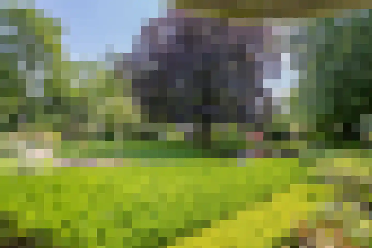 Carolinenhof 12 Leidschendam thumbnail 10