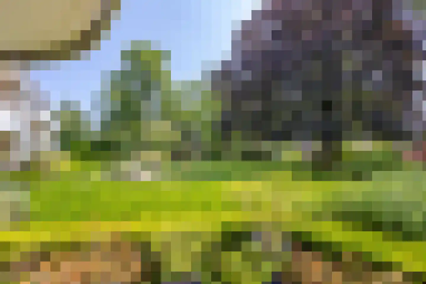 Carolinenhof 12 Leidschendam thumbnail 11