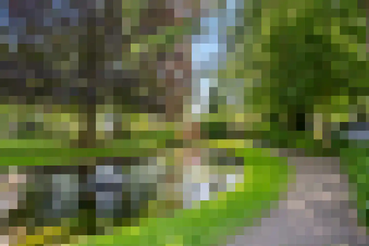 Carolinenhof 12 Leidschendam thumbnail 34