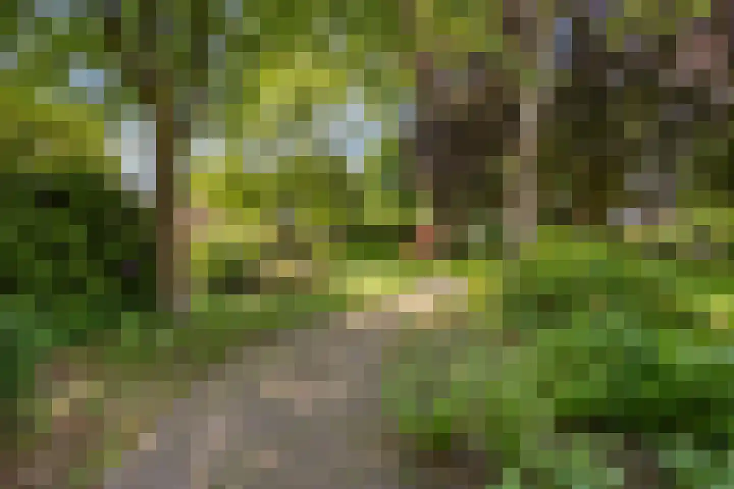 Carolinenhof 12 Leidschendam thumbnail 35