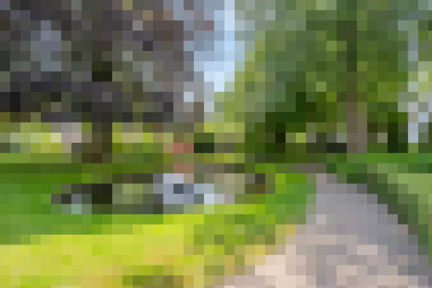 Carolinenhof 12 Leidschendam thumbnail 36