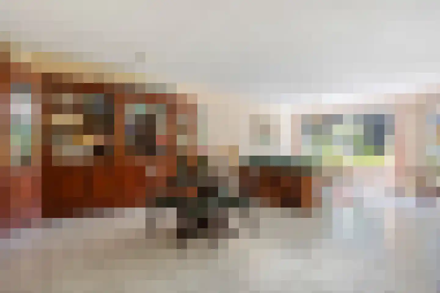 Carolinenhof 12 Leidschendam thumbnail 5