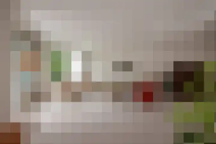 Carolinenhof 16 Leidschendam thumbnail 10