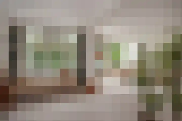 Carolinenhof 16 Leidschendam thumbnail 15