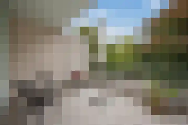 Carolinenhof 16 Leidschendam thumbnail 16