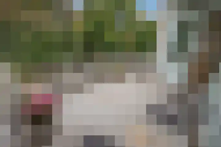 Carolinenhof 16 Leidschendam thumbnail 17