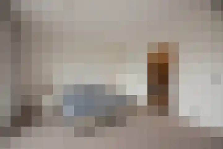 Carolinenhof 16 Leidschendam thumbnail 28