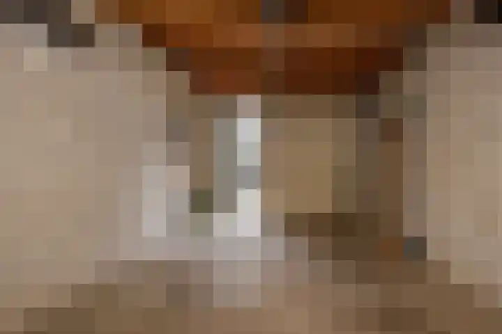 Carolinenhof 16 Leidschendam thumbnail 33