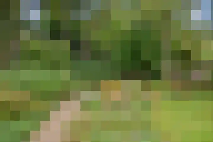 Carolinenhof 16 Leidschendam thumbnail 36