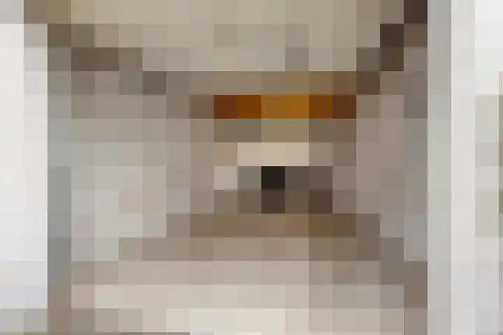 Carolinenhof 4 Leidschendam thumbnail 27