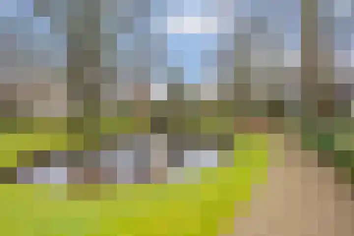 Carolinenhof 4 Leidschendam thumbnail 28
