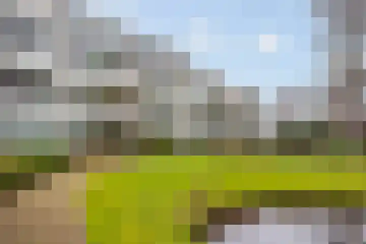 Carolinenhof 4 Leidschendam thumbnail 29